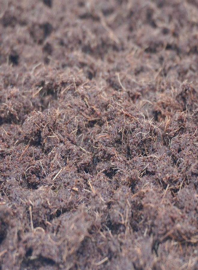 Begeterday 15oz Coco Coir Brick for Hermit Crab, Great Coconut Fiber for Sand Blends, Hermit Crab Accessories - Image 3
